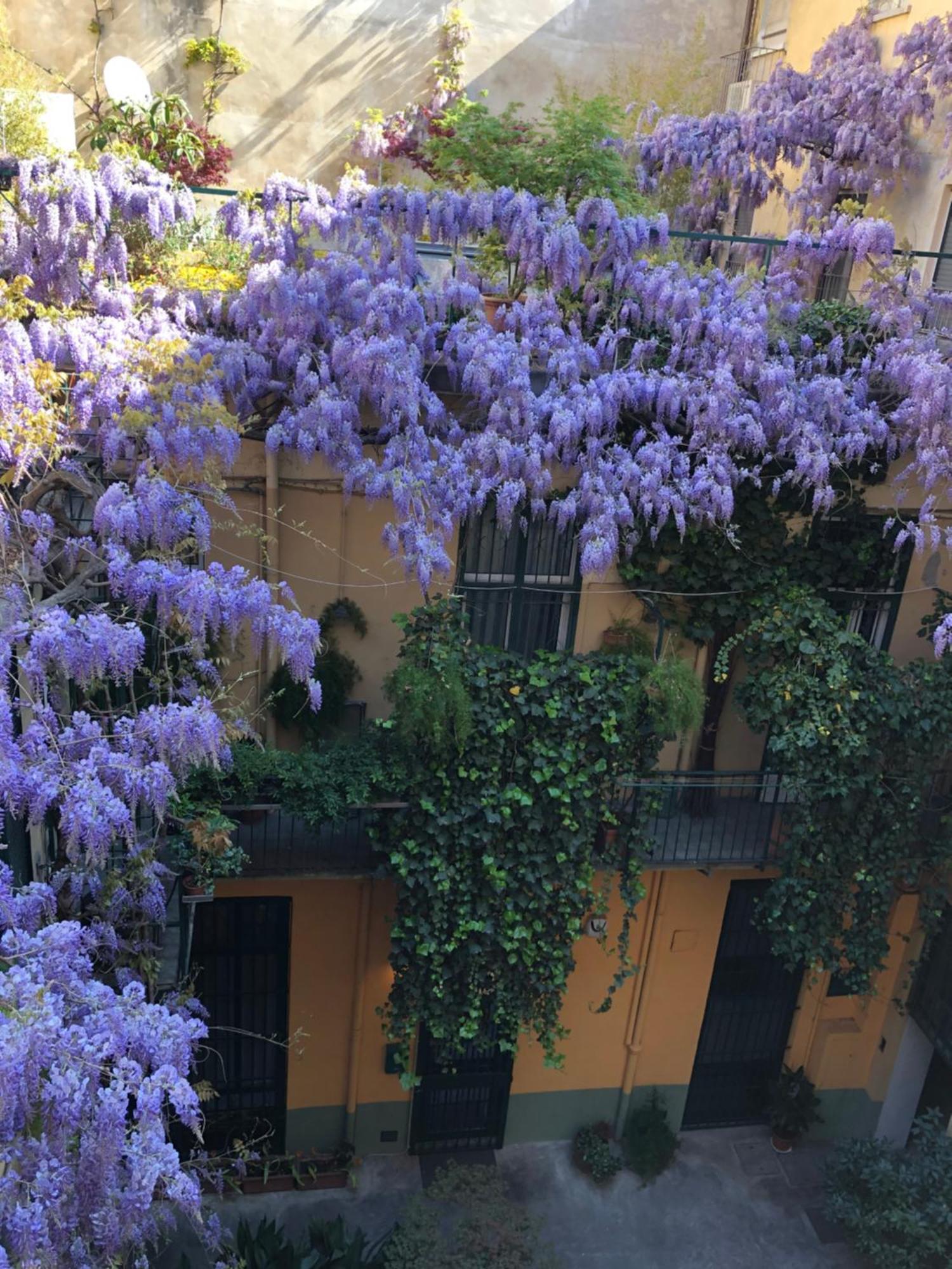 La Casa Degli Angeli